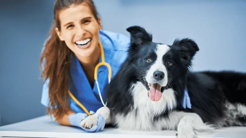 Marketing digital para clínicas veterinárias - veterinária com dog